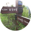 너브내길 이미지