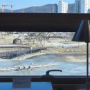 [옥정]프랑스 자수 이미지