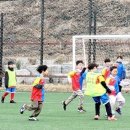 풋살교실 이미지