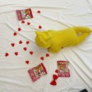 강서구-50 네이버블로그