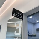 부평종합동물의료센터 | 부평 삼산동 아프리카 동물의료센터 고양이 췌장염 진료 후기