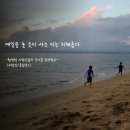 클랩빈 이미지