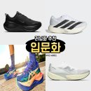 JH플러스 | 입문 러닝화 브랜드 추천 ( 나이키 보메로 플러스, 아디다스 EVO SL, 아식스 슈블3, 뉴발란스 레벨v5 )