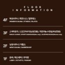 프리마스파 이미지