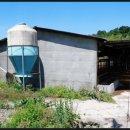 신덕축사 이미지