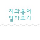 서울다시봄치과 이미지