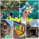 세븐일레븐 오류양지마을점 | 3박5일 치앙마이 여행⋆˙⟡ | 쿤캐쥬스바 아사이볼, 반캉왓 소품샵, 샬라넘버6와 로띠맛집
