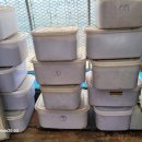 산석진농장 이미지