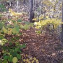 하늘빛계곡 이미지