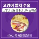 삼송사랑 동물의료센터 이미지