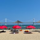 파라솔식당 이미지