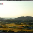 부내초등학교 앞 이미지