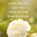 초옥 이미지