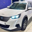 볼트피자 이미지