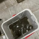 맥켄지커피 충남도청점 이미지