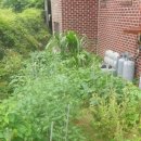 (주)농업회사법인 귀농 이미지