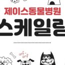 제이스동물병원 네이버블로그