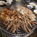 자갈치꼼장어 이미지