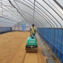 푸른솔농장4 이미지