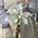 희부케 네이버블로그