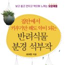 한국식물병원 이미지