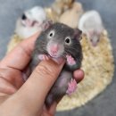 (주)모프 이미지
