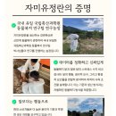 자미유정란 이미지
