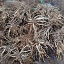 청솔슈퍼 이미지