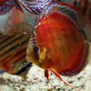 형제슈퍼 이미지