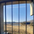 싱그러운청도로(봄) 이미지