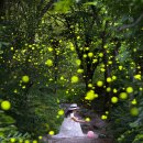 풍암제길 이미지