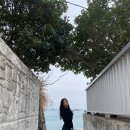 (자)동삼택시 | [부산 여행] 흰여울문화마을 포토스팟 꿀팁 | 오션뷰 카페 페블 | 중리 바다