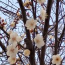 한아름홈쇼핑(주) 이미지