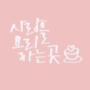 캘리그라피 이미지