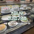 건대 대형 카페 추천 공부하기 좋은 카페 커피나무 건대입구역점