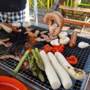 쁘띠힐링카라반 이미지