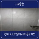 어진동푸르지오시티앞 | 부산 에코델타시티푸르지오 명지 줄눈 추천 아스팍톤