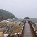 부안숙소 국립변산자연휴양림 숭어방에서 1박하고 격포항수산시장에서 회 포장해서 냠냠