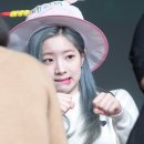 성남권투 이미지