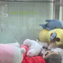 뽑크레인 이미지