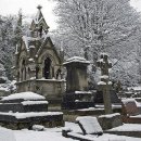 겨울나그네 이미지