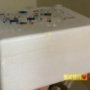 멍과자점 이미지