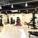 몸의형태