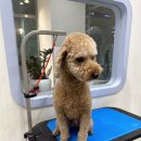 Mong's(몽'스) 이미지