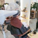 유경2호 이미지