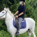 웅지승마센터 이미지