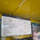 서귀포종합관광안내소 | 172. [제주 명소] 서귀포 천지연 폭포 아침 오픈시간 산책 후기 (물품보관함, 주차장, 반려동물 입장...