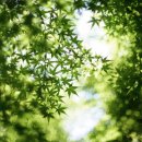 길동빌딩 이미지