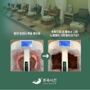 인셀덤평촌샵