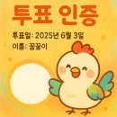 백화초등학교 | 2025년 제21대 대통령 선거 본투표 인증~! (ft. 백화초등학교)